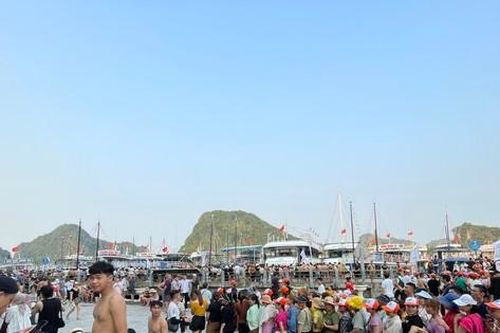 Du khách đổ xô đi đảo Ti Tốp, hang Sửng Sốt