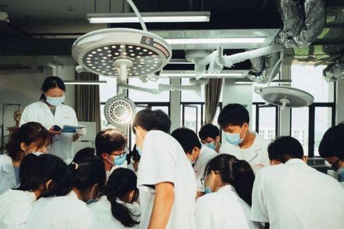 Nguyên nhân 45% bác sĩ không muốn con theo học ngành y