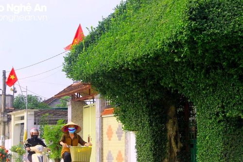Bước chuyển trong xây dựng nông thôn mới kiểu mẫu ở Nghệ An