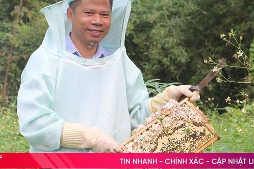 Mùa thu hoạch mật ong ở Hương Sơn