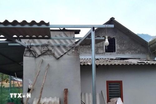 Dông lốc gây thiệt hại về nhà cửa, hoa màu ở Yên Bái