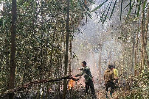 Đám cháy rừng ở huyện Văn Bàn (Lào Cai) đã cơ bản được khống chế