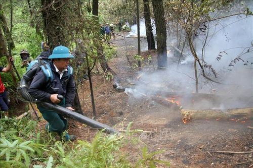 Khống chế thành công vụ cháy rừng ở Nghệ An