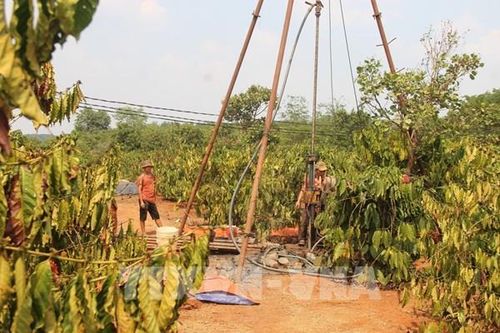 Tây Nguyên ứng phó với hạn hán khốc liệt - Bài 2: 'Gồng mình' chống hạn cho cây trồng
