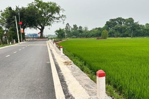Về quê, thanh niên đạp xe ra đồng 'chữa lành' và cái kết