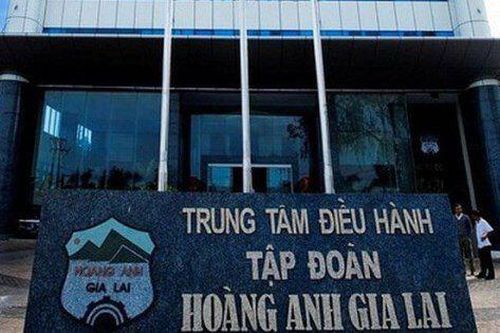 HAGL lãi ròng 215 tỷ quý I, lợi nhuận gộp mảng nuôi heo chưa tới 6 tỷ đồng