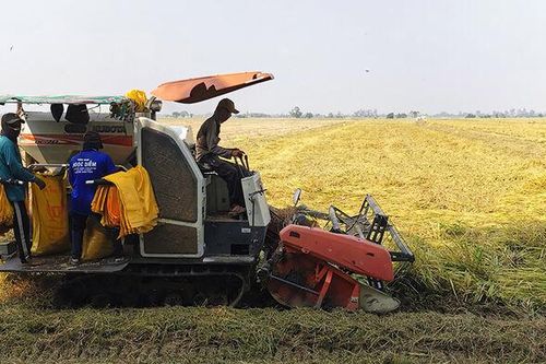 Phú Tân tập trung thực hiện nhiệm vụ chính trị