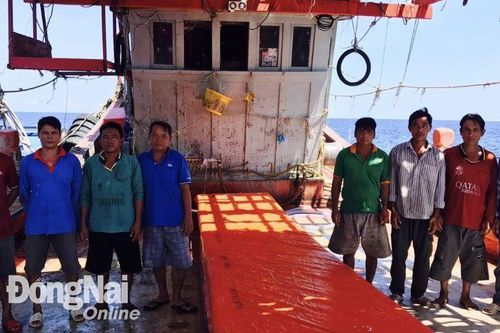Kiểm tra, thu giữ 14 thiết bị giám sát hành trình của tàu cá