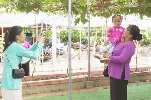 Ra mắt điểm tham quan vườn nho Năm Nhân