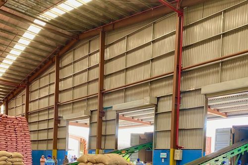 Giá Cà phê tăng cao: Cơ hội cho nông dân tăng giá trị vườn cây