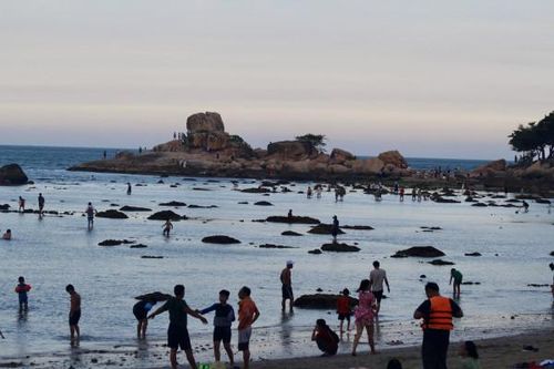 Ban quản lý vịnh Nha Trang: Khuyến cáo người dân và du khách không gây ảnh hưởng đến san hô khu vực Hòn Chồng - Đặng Tất