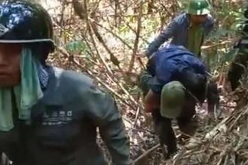 Đốt tổ ong gây cháy rừng và bị thương nặng