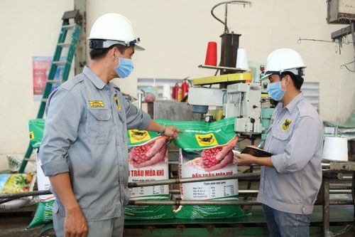 Tiền gửi ngân hàng của BFC giảm sâu 75% trong quý đầu 2024