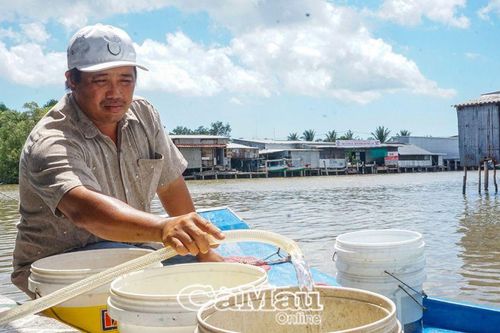 Khắc khoải chờ nước