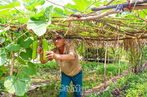 Những đảng viên nông dân làm kinh tế
