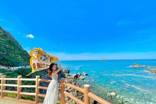 Lịch trình du lịch Quy Nhơn 3 ngày 2 đêm siêu tiết kiệm