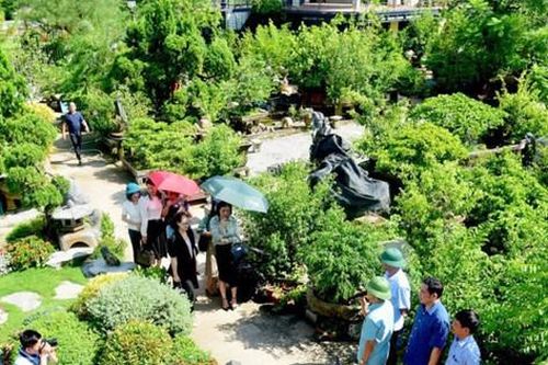 Phát triển vùng trồng hoa, cây cảnh gắn với du lịch sinh thái: Hướng đi hiệu quả của ngành Nông nghiệp Thủ đô