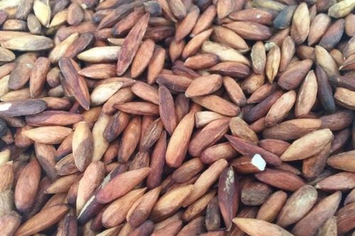 Loại hạt là quà vặt miễn phí của học trò xưa nay bỗng thành đặc sản, giá nửa triệu/kg vẫn tranh mua