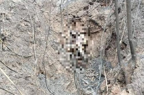 Phát hiện 3 bố con chết cháy trong khe núi ở Điện Biên