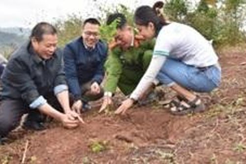 Gây quỹ thành công 50.000 cây gỗ lớn tặng các gia đình khó khăn tỉnh Quảng Bình