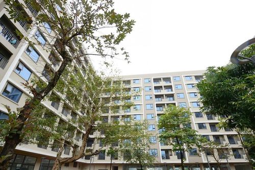 Lưới an sinh cho người lao động