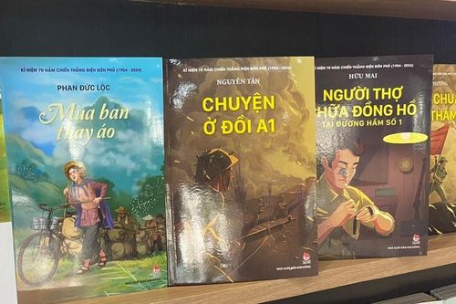 Những cuốn sách về Điện Biên Phủ đã được thay áo mới như nào