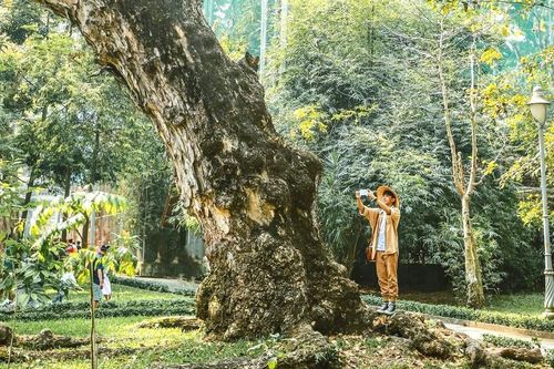 Nghỉ lễ càng dài, hết lễ càng uể oải