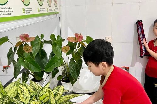 Huyện Thanh Trì tích cực phòng chống dịch bệnh tay chân miệng