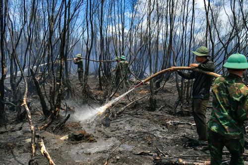 Kiên Giang: hàng trăm cán bộ chiến sĩ xuyên đêm cứu rừng
