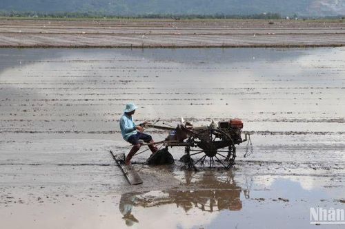 Xử phạt hơn 600 triệu đồng 26 đối tượng mua bán hàng hóa giả