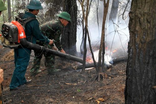 Xuyên đêm nỗ lực dập lửa cứu rừng