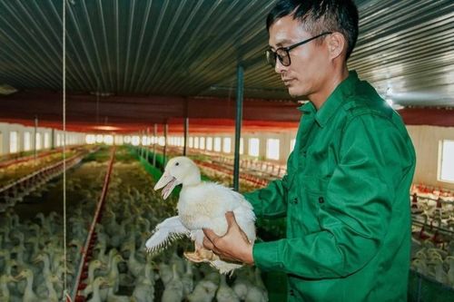 Cho vịt nghe nhạc, chàng kỹ sư điện thu hàng tỷ đồng/năm