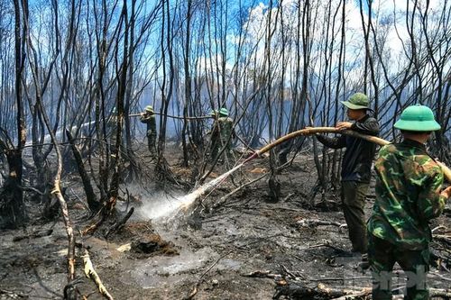 Toàn cảnh chiến đấu với 'giặc lửa', khống chế cháy rừng ở Kiên Giang