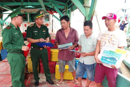 BĐBP Cà Mau chung tay bảo vệ nguồn lợi thủy sản