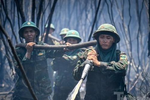 Gần 100 giờ chiến đấu với 'giặc lửa', khống chế vụ cháy rừng ở Kiên Giang