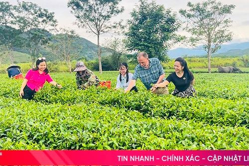 Hà Tĩnh 'khơi dòng' phát triển du lịch nông thôn