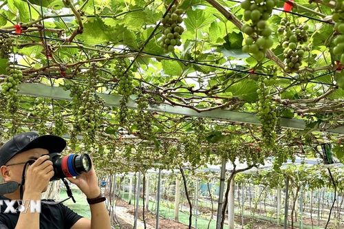 An Giang đón khoảng 317.000 lượt khách dịp nghỉ lễ 30/4-1/5