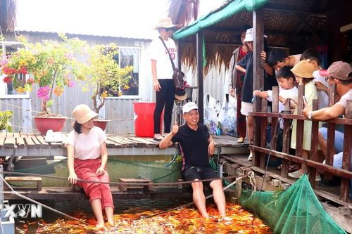 Cần Thơ: Các tour du lịch sinh thái, nghỉ dưỡng ghi nhận du khách tăng đột biến