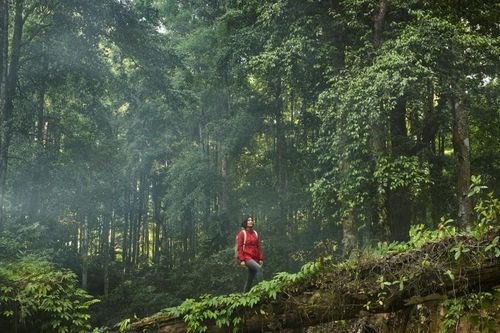 Du khách toàn cầu đang cảm thấy 'gánh nặng' từ lựa chọn du lịch bền vững