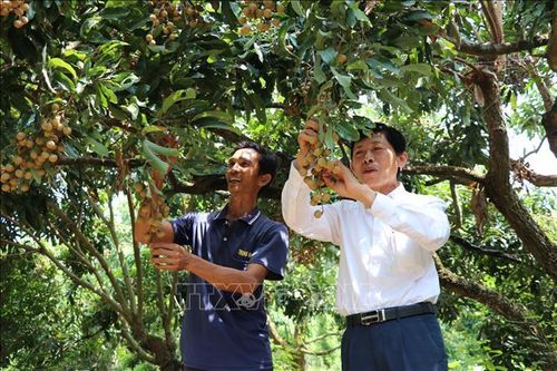 Xây dựng những nông dân chuyên nghiệp trên đất Sen Hồng - Bài cuối: Hiệu quả thiết thực