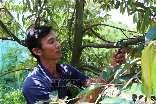 Xây dựng những nông dân chuyên nghiệp trên đất Sen hồng - Bài 1: Tư duy mới, hành động mới