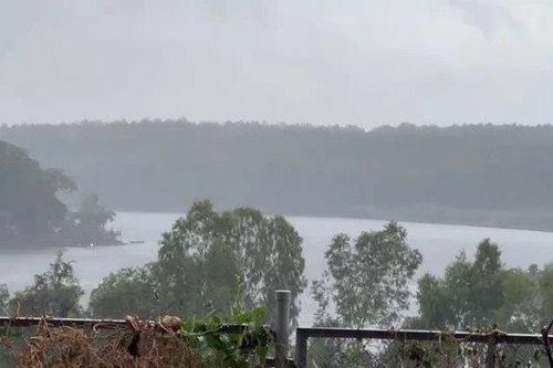 Bình Phước: Người dân vui mừng đón cơn 'mưa vàng' đầu mùa