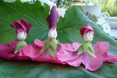 16 bức ảnh thú vị về ảo giác khuôn mặt pareidolia