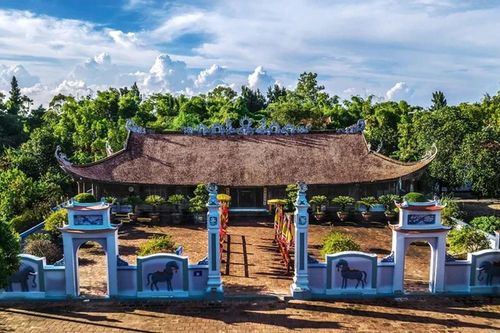 Những bất ngờ về Trà Cổ và Tổ Đồ Sơn