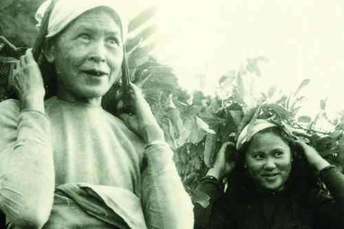 Những hình ảnh tự hào của phụ nữ Việt Nam trong chiến dịch Điện Biên Phủ