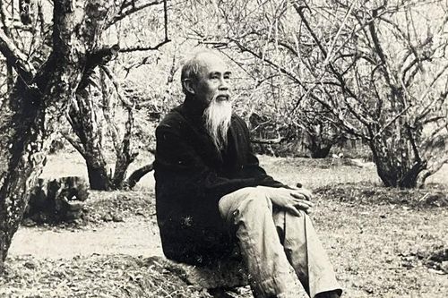 Tinh thần sáng tạo của Đào Duy Anh – cây 'đại thụ' của nền khoa học xã hội Việt Nam