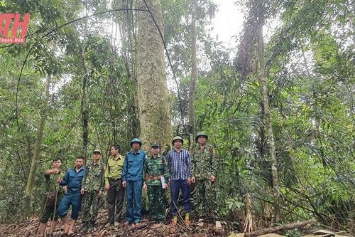 Khi bộ đội giữ rừng