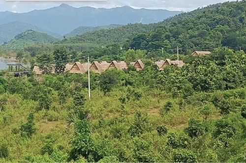 Bình Thuận kiên quyết xử lý dứt điểm hành vi lấn, chiếm, sử dụng đất rừng trái mục đích