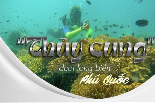 'Thủy cung' dưới lòng biển Phú Quốc