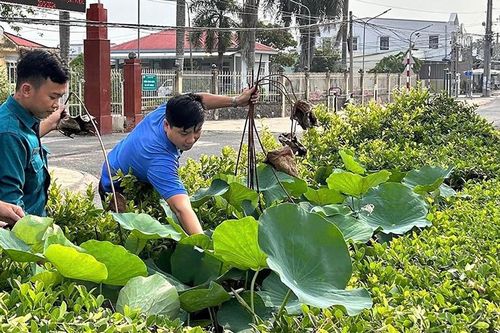 Thực hiện tốt công tác giữ gìn môi trường